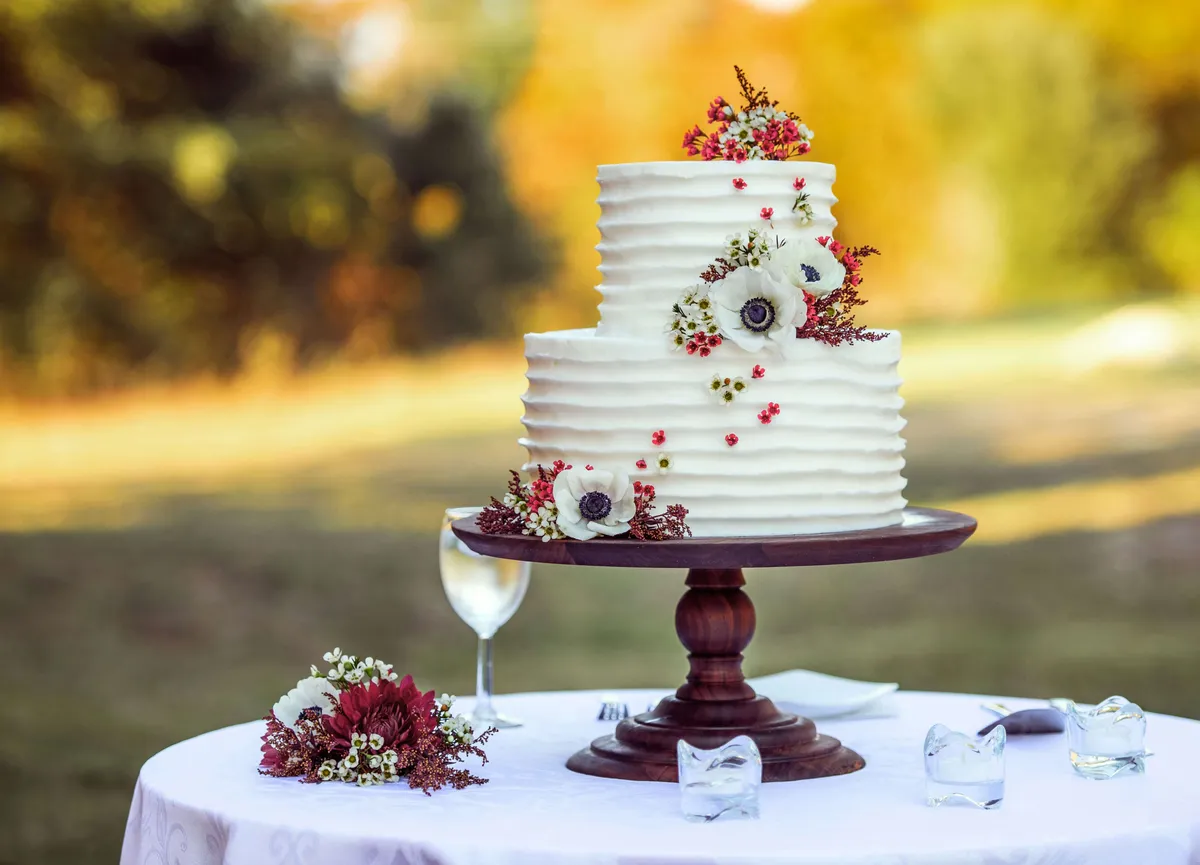 Best Man Speech - the cake isn't just in tears, it's got PTSD
