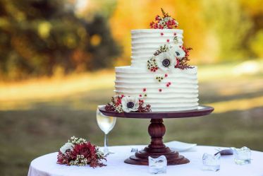 Best Man Speech - the cake isn't just in tears, it's got PTSD